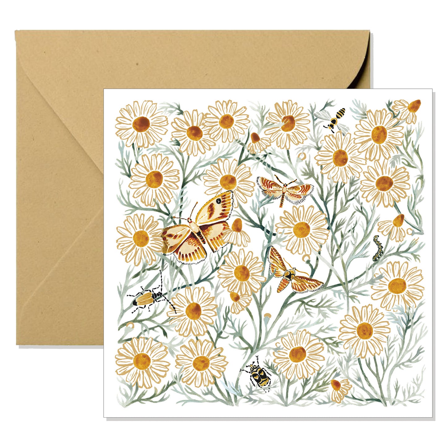 Greeting Card - Chamomile