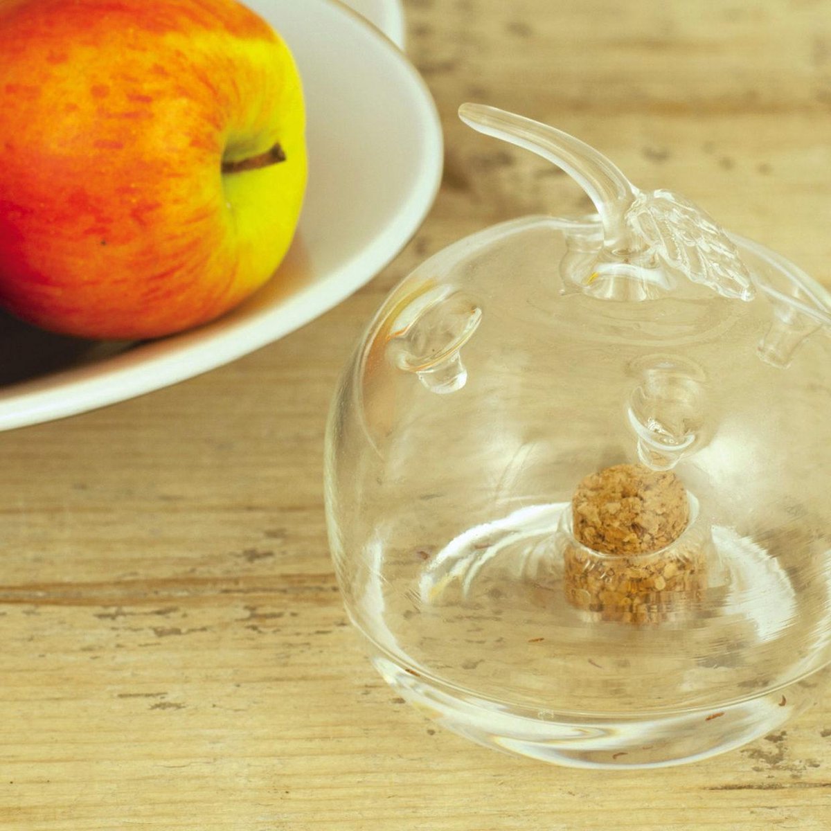 Fruitvliegenval appel