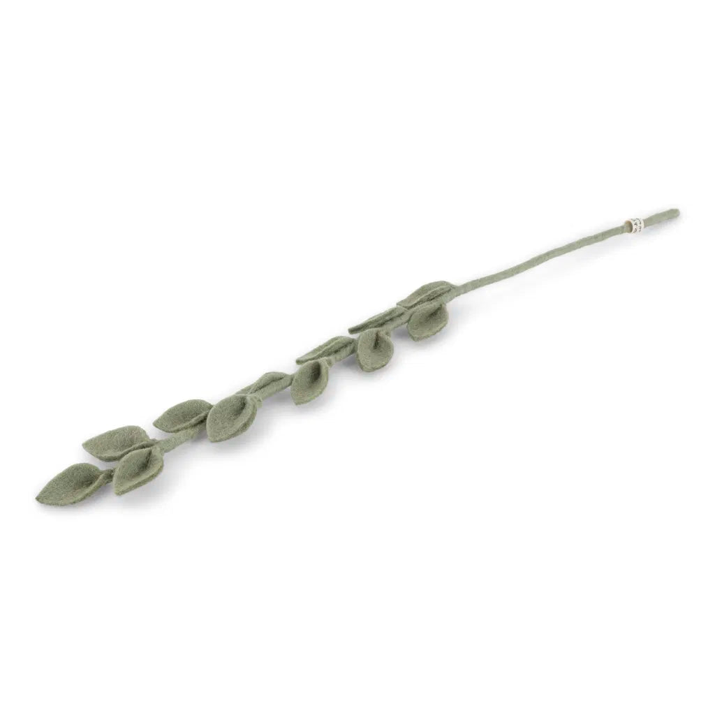 Eucalyptus Branch