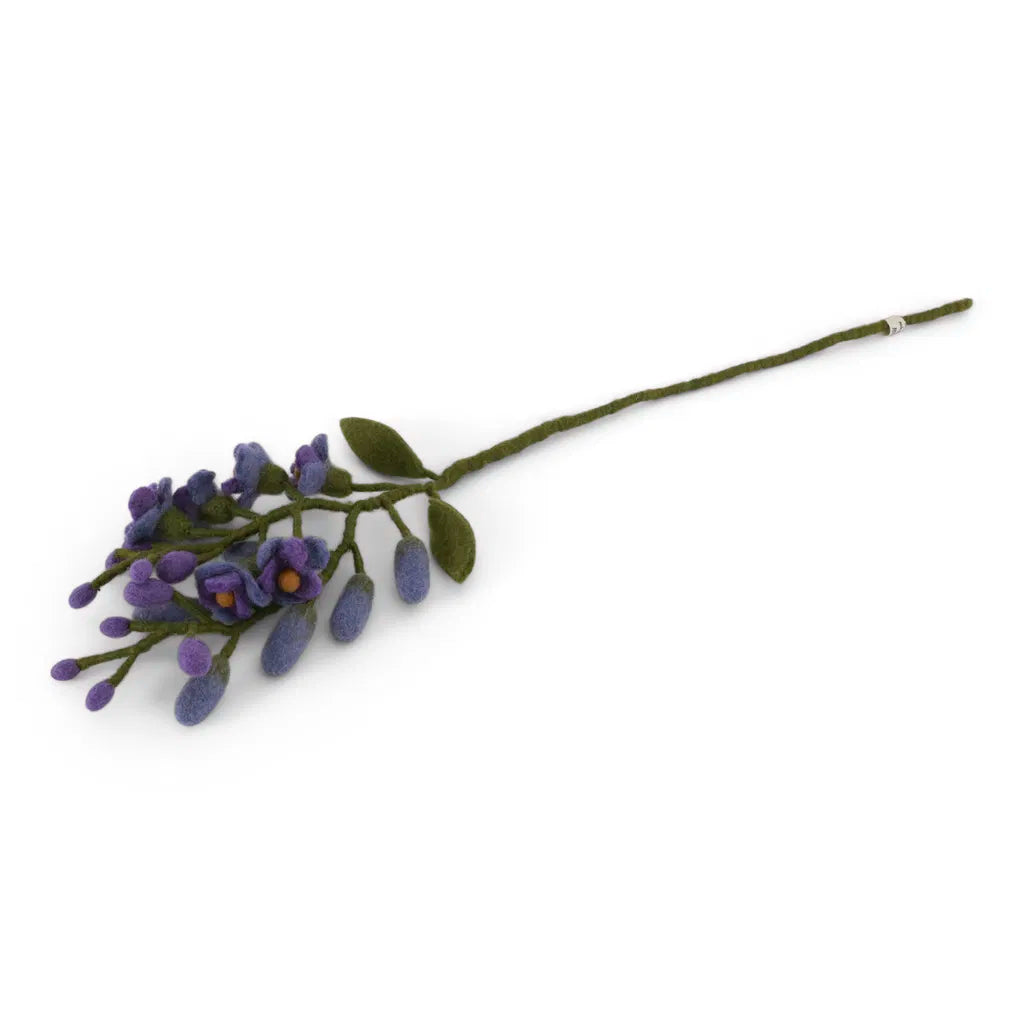 Wisteria - Purple