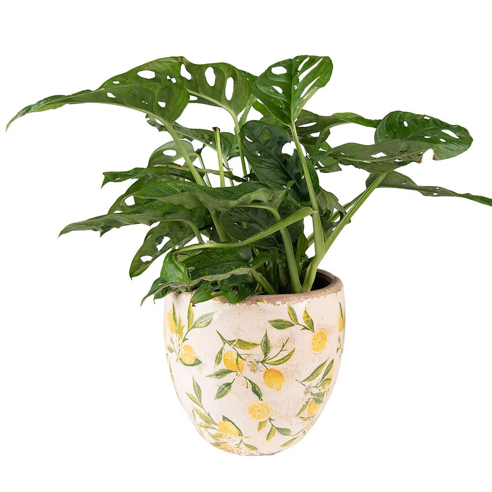 Planter Ø 13x12 cm Yellow Ceramic Lemon Indoor
