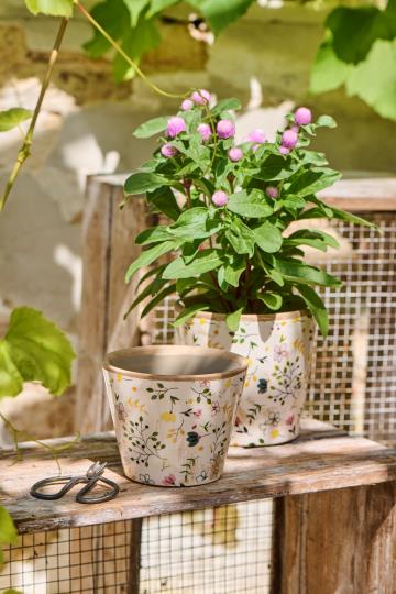 Pot Meadow Blossom conical