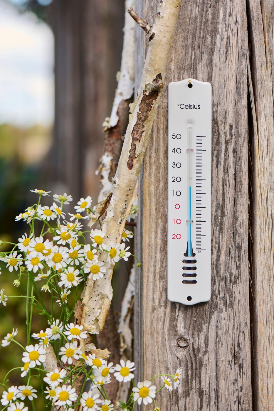 Thermometer f/wall enamel look from -30 to +50 degrees Celsius