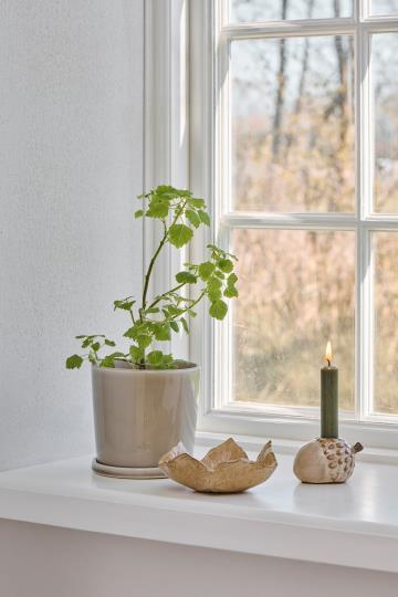 Candle holder f/2.2 cm candle acorn-shaped