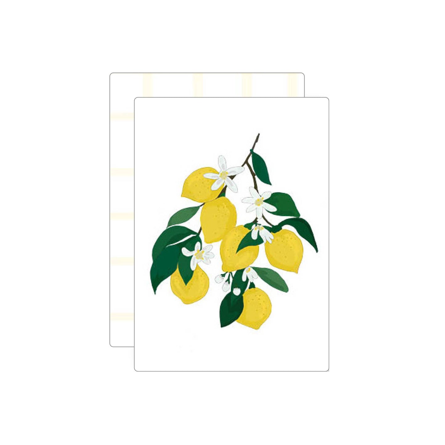 Lemon | postcard: With envelope and cellophane cover