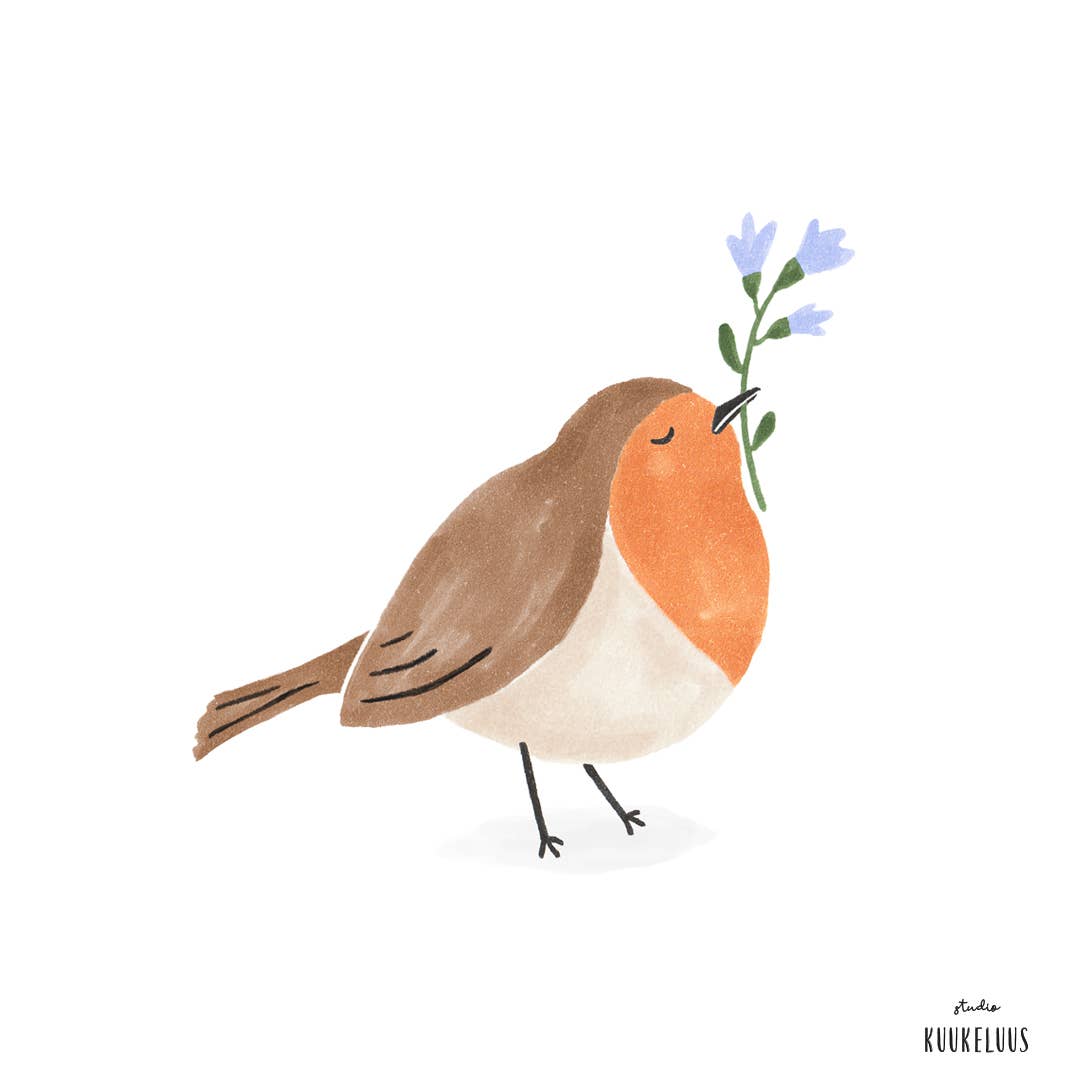 Robin Bird Postcard