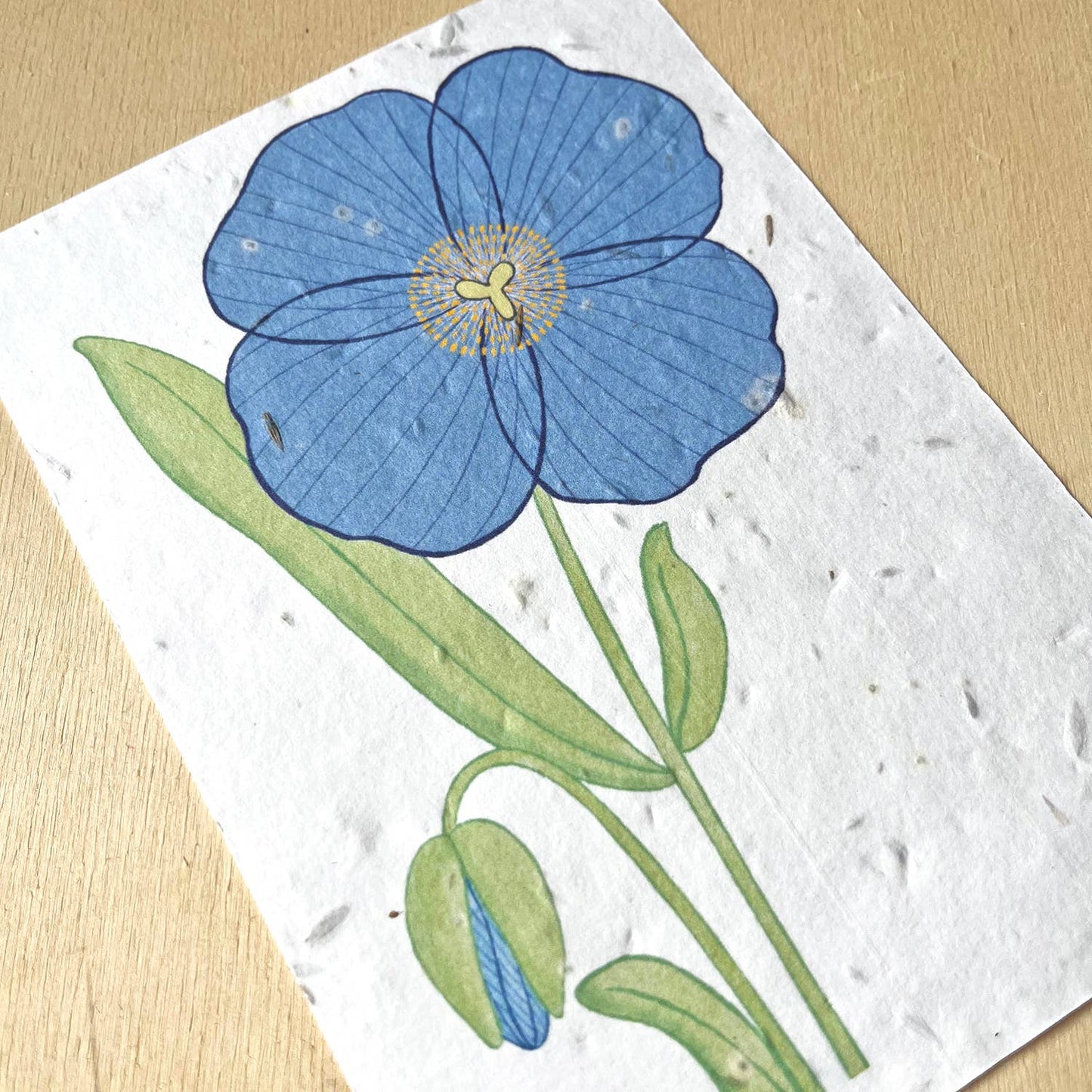 Blue poppy | Growth card