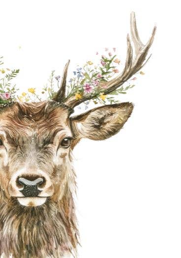 Sustainable postcard my deer