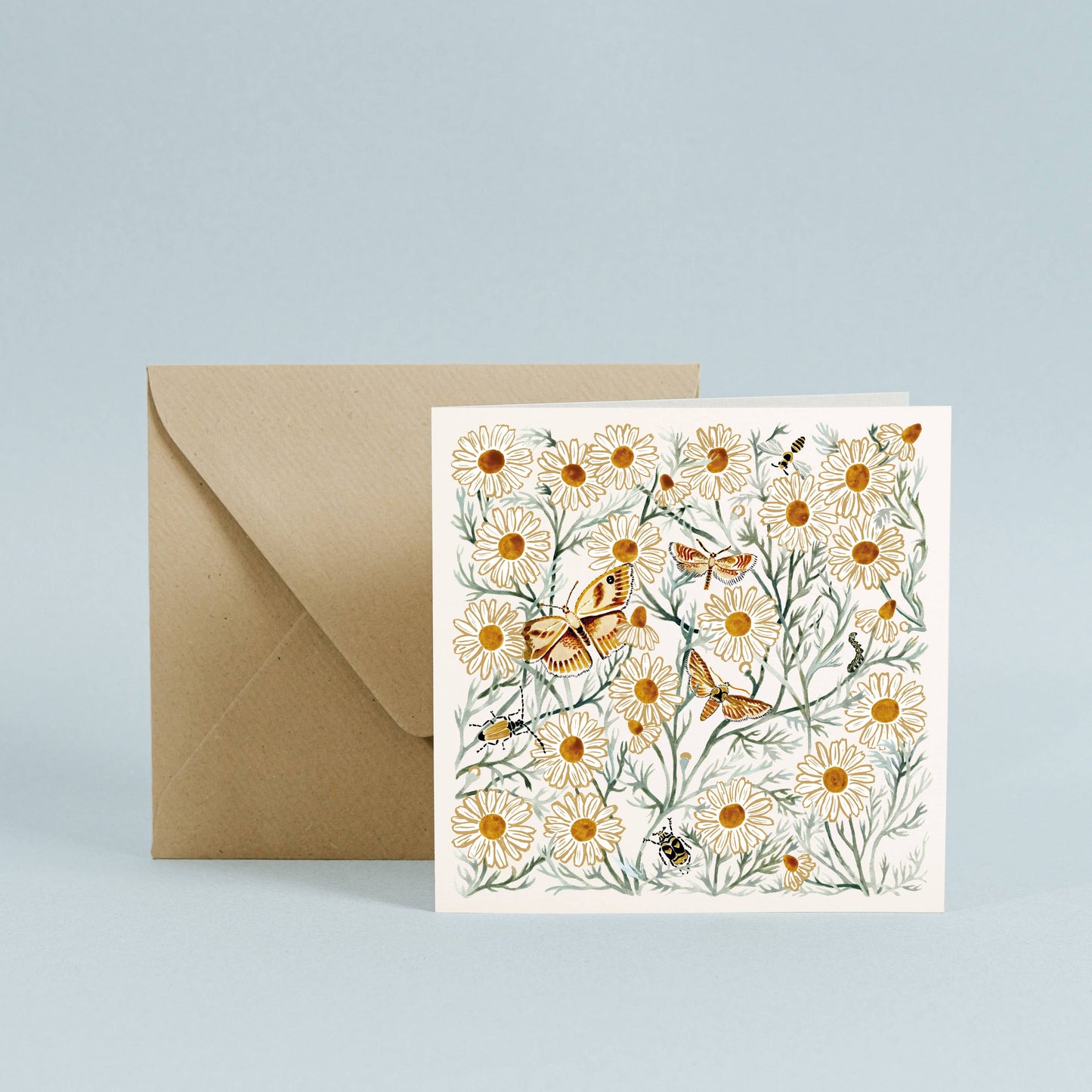 Greeting Card - Chamomile