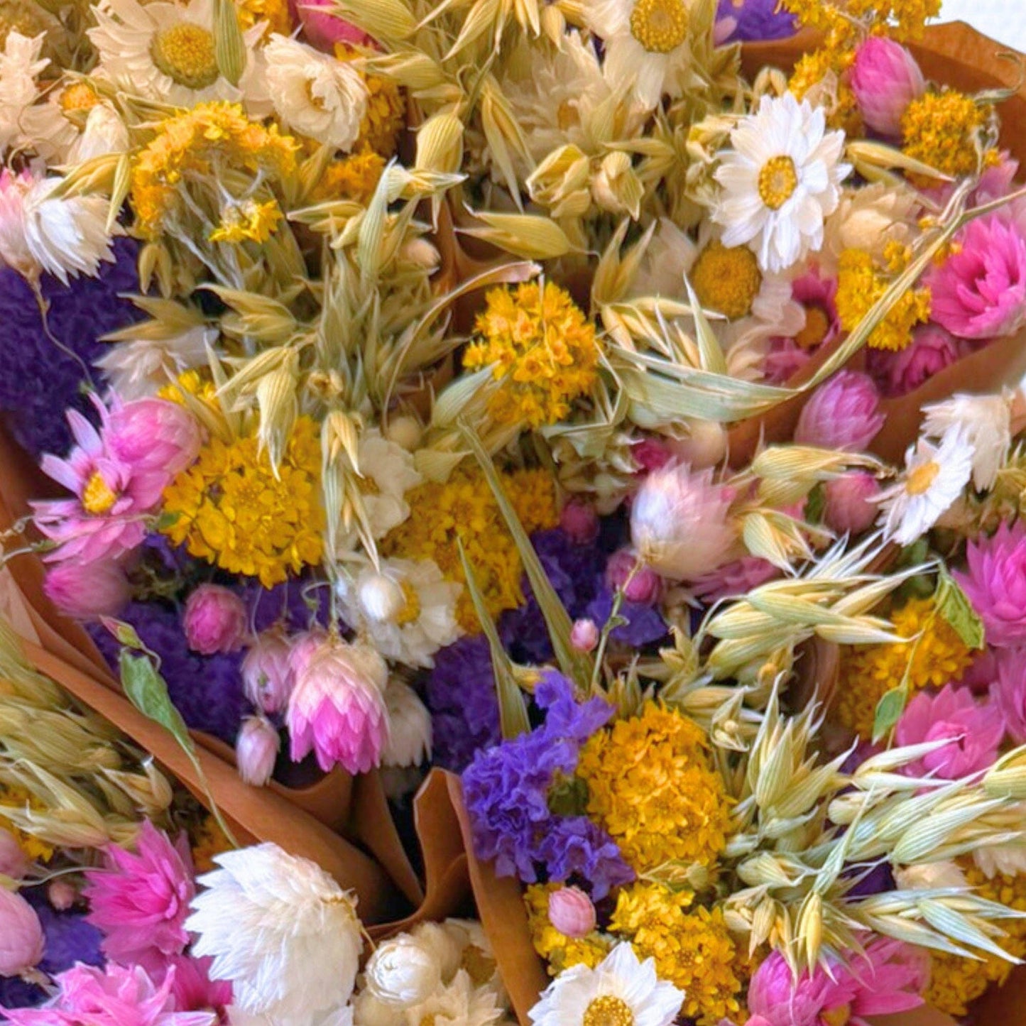 Gedroogde bloemen - Markt meer - Nederlands