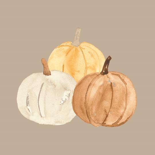 Napkin 16.5x16.5 cm pumpkins 20 pcs/pck