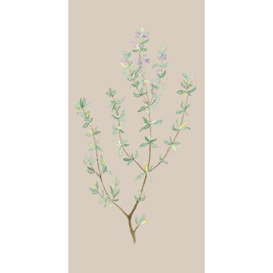 Napkin 10x20 cm thyme sprig 16 pcs/pck