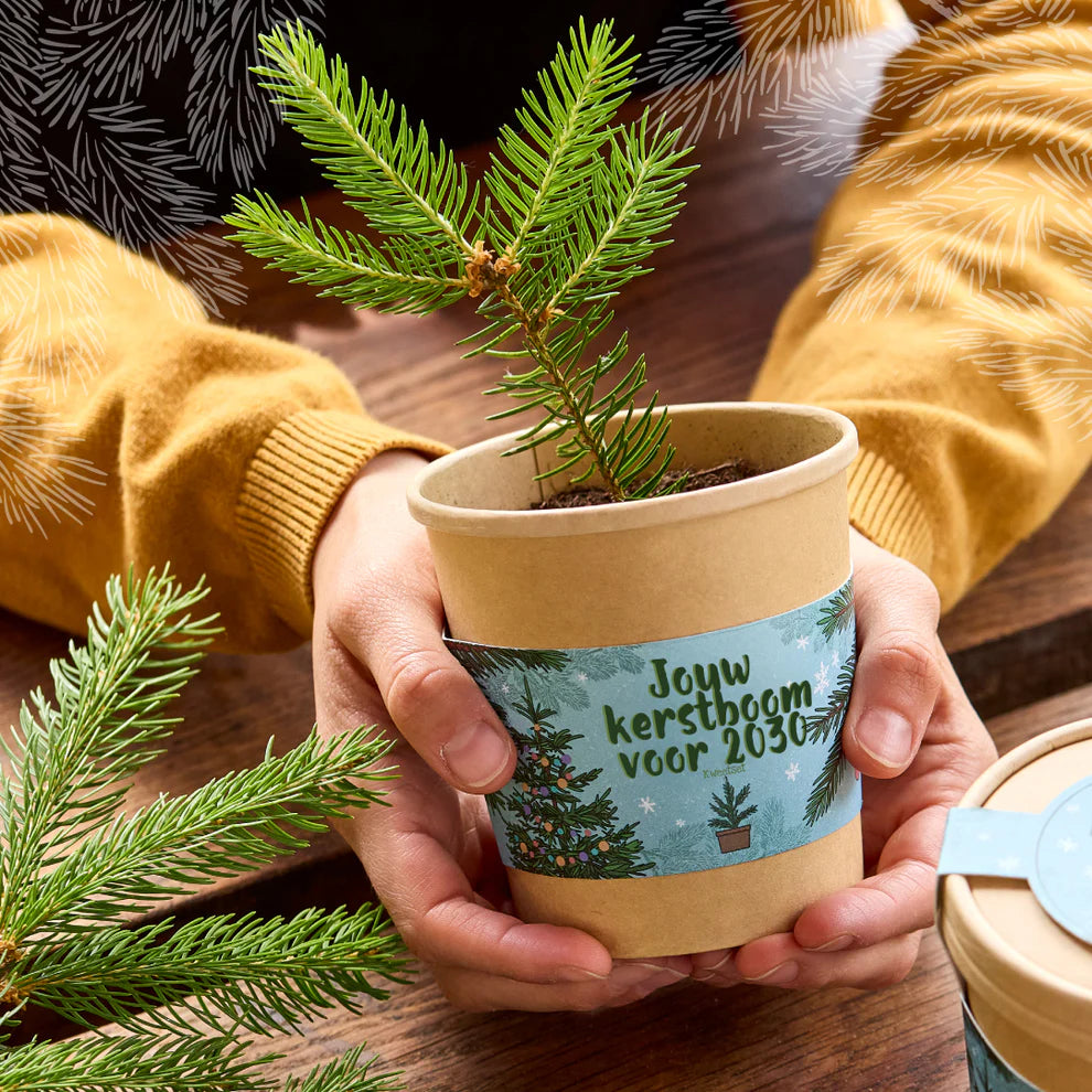 Kerstboom uit de beker