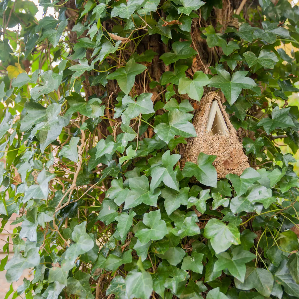 Camouflage Nestkast