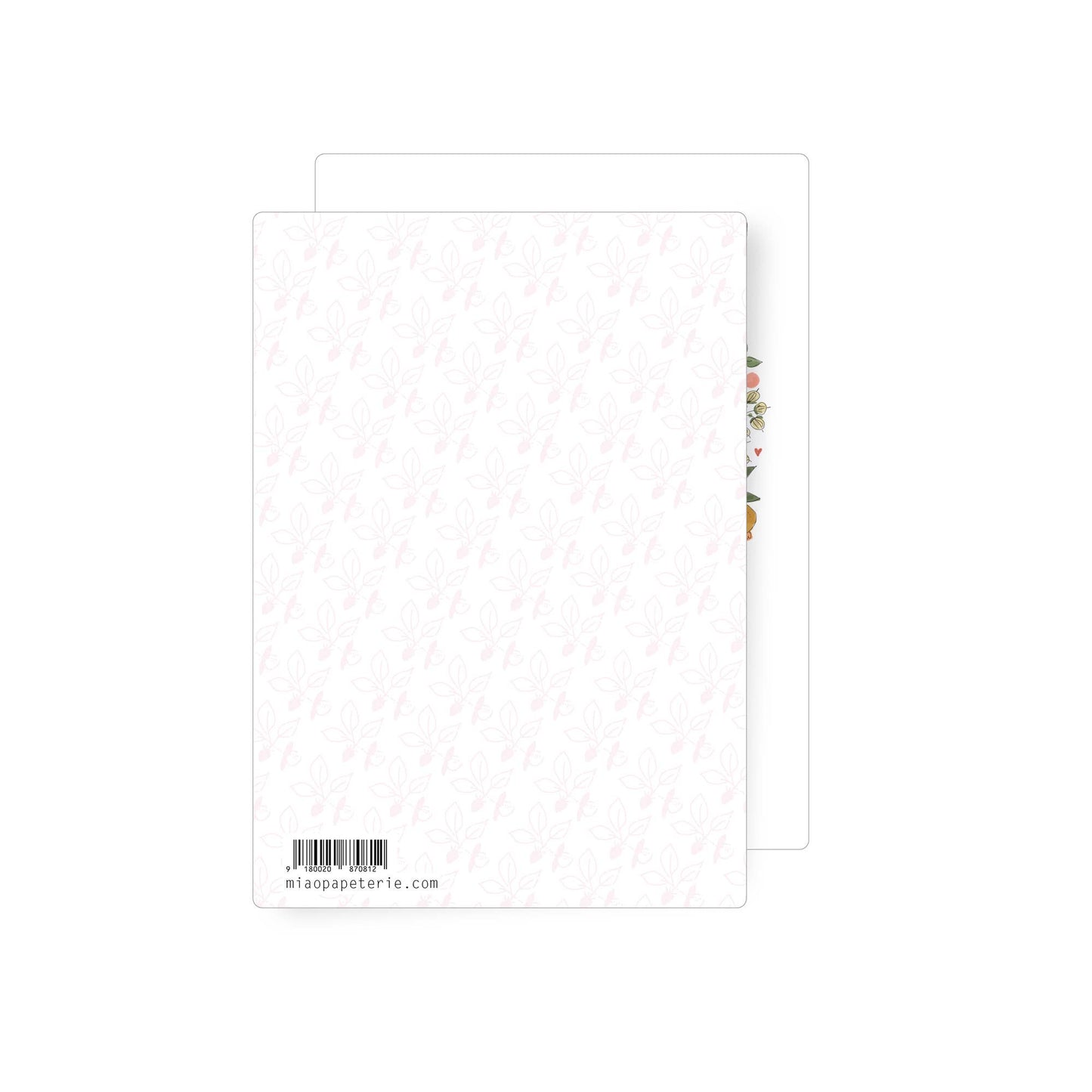 Home | Postcard: With envelope and cellophane cover