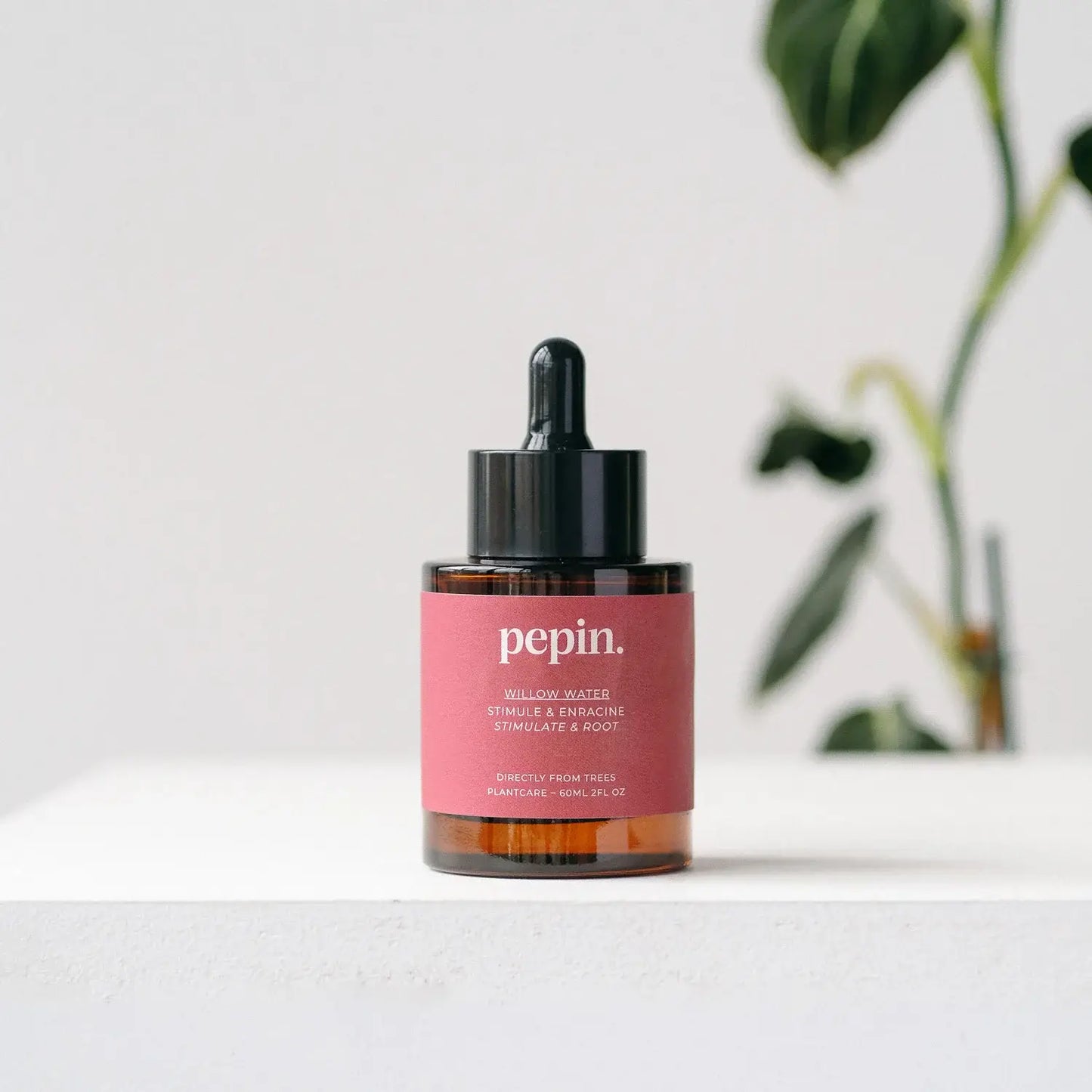 Willow Water (roots development)