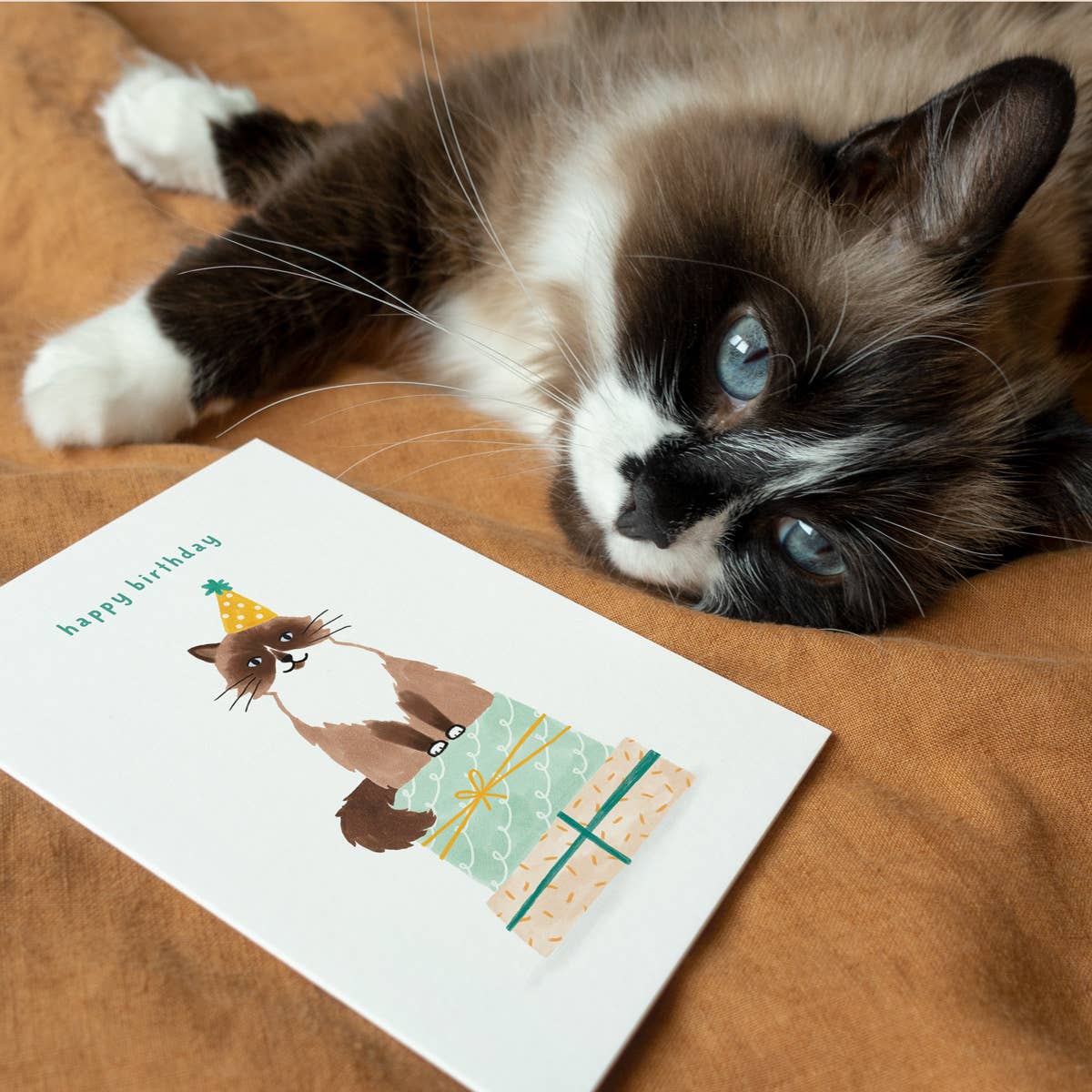 Cat Birthday Card
