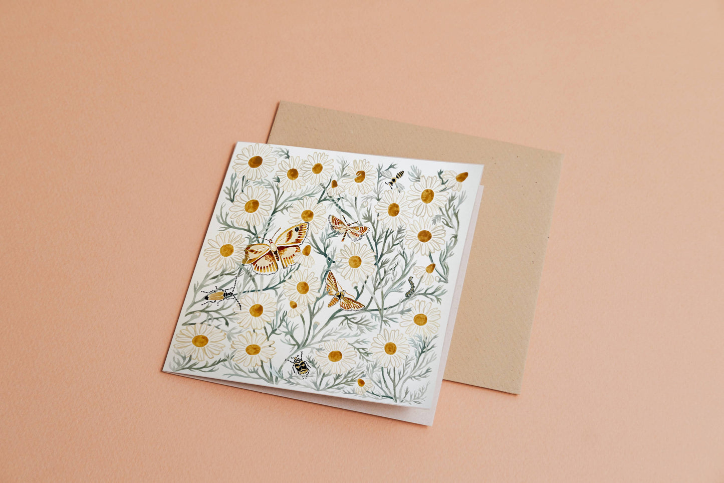 Greeting Card - Chamomile