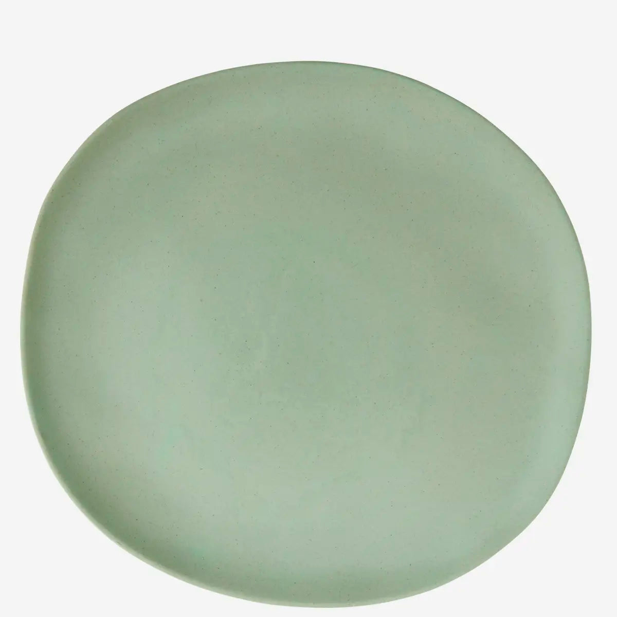 Melamine dinner plate