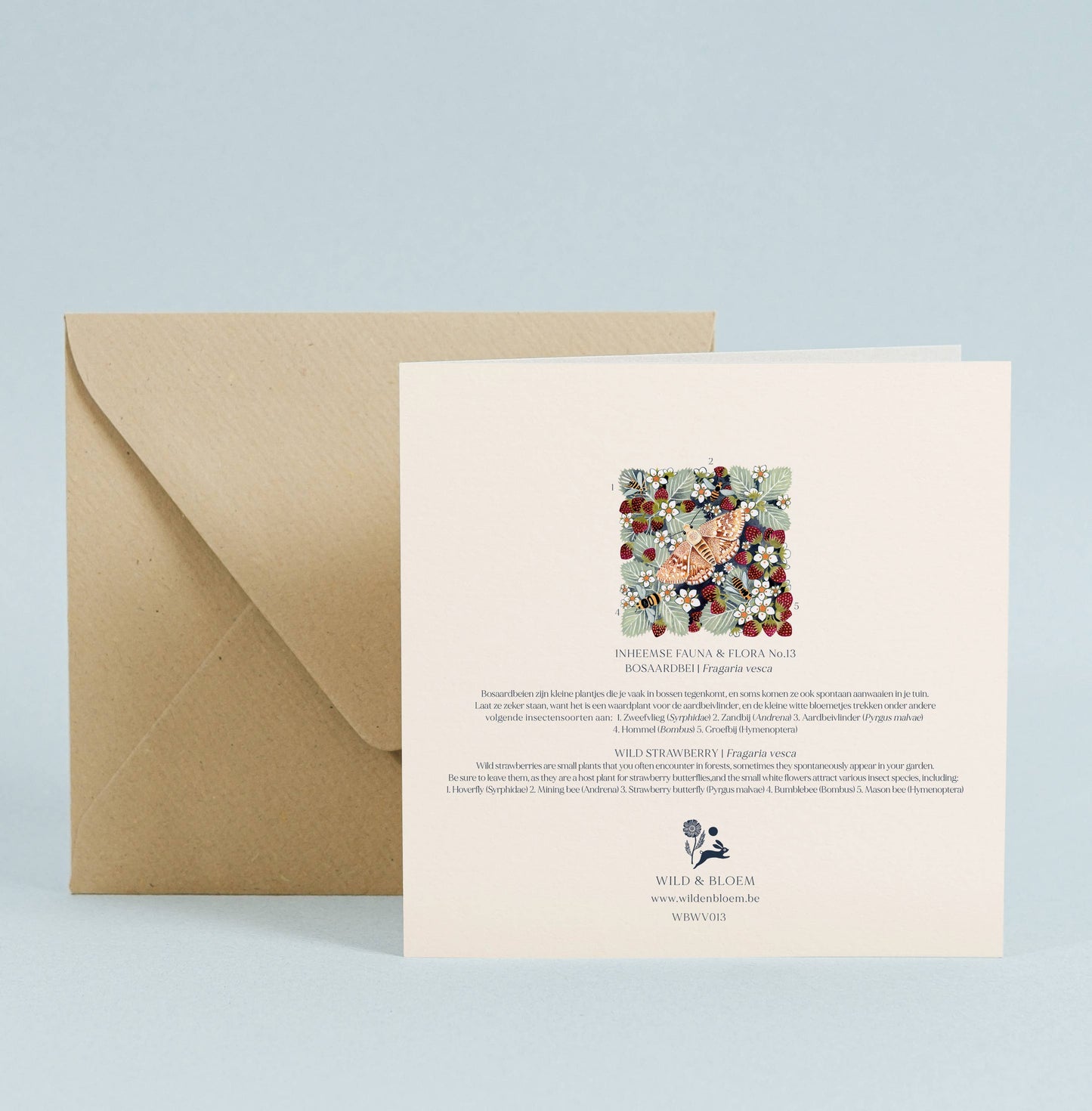 Greeting Card - Wild Strawberry