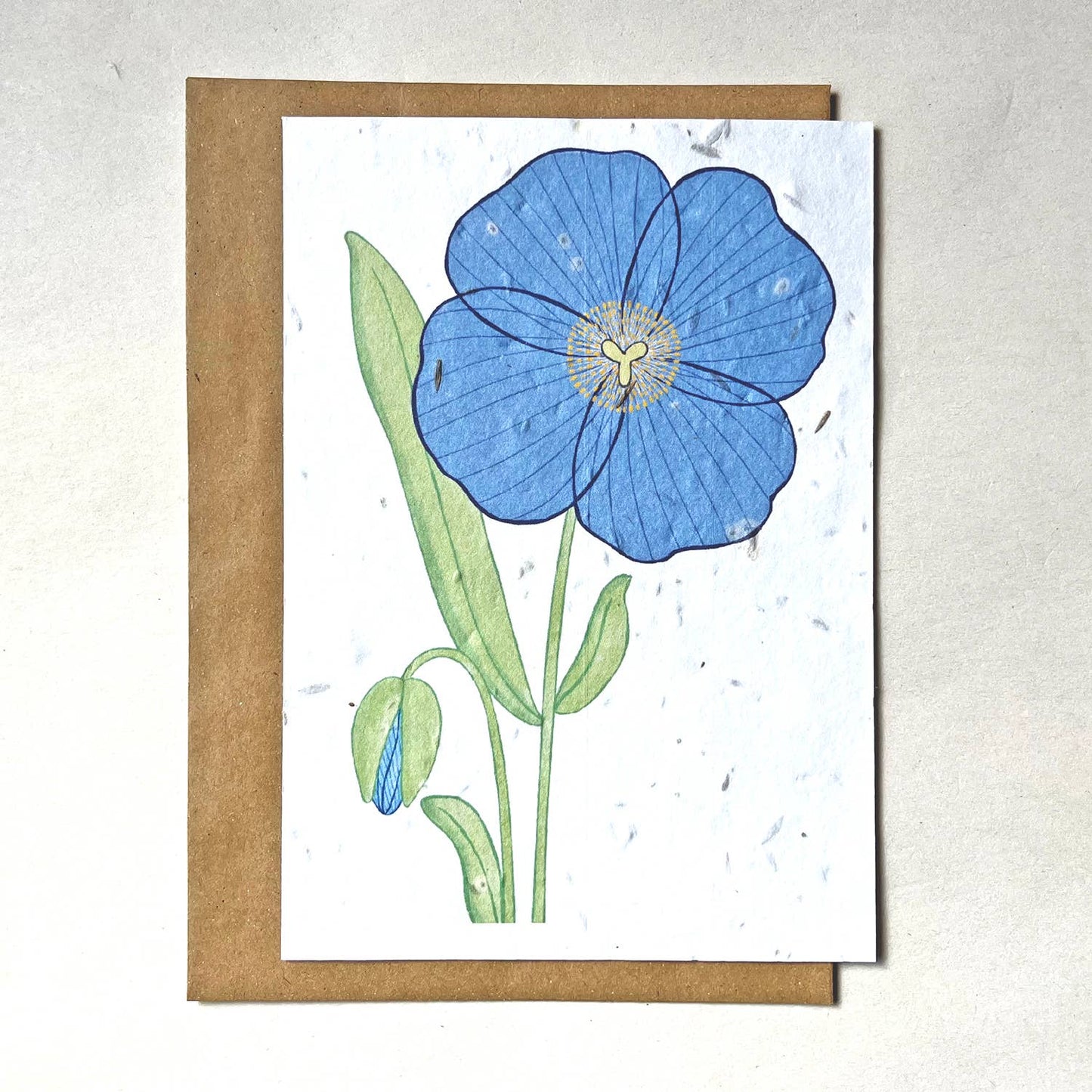 Blue poppy | Growth card