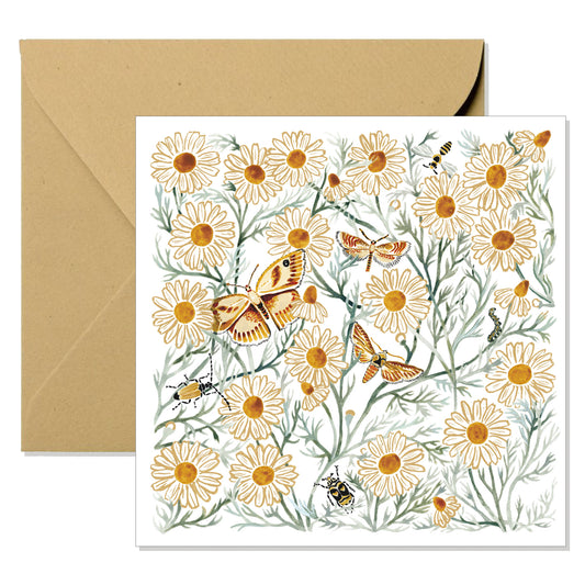 Greeting Card - Chamomile