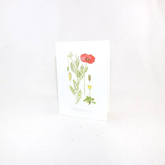 Congratulations Card Corn Poppy: 10.5x15