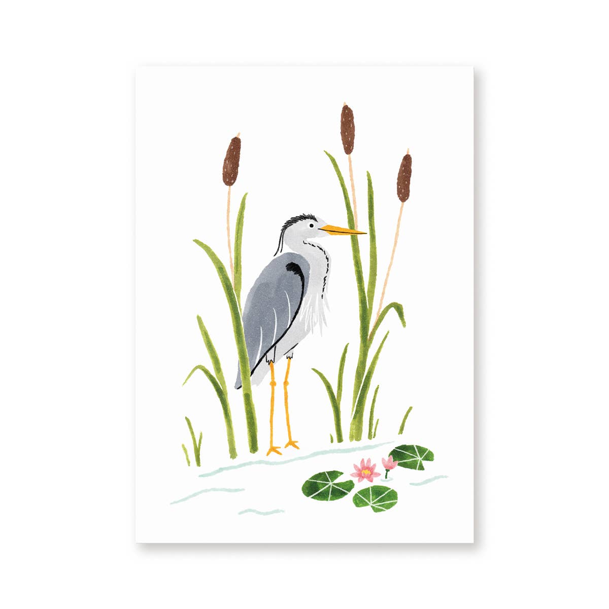 Postcard heron