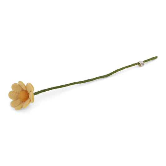 Anemone - Light Yellow