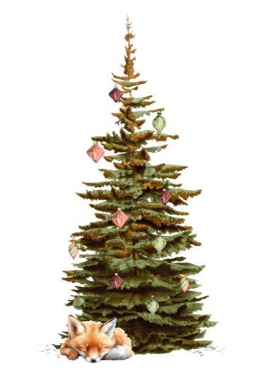 Sustainable postcard     Christmas fox