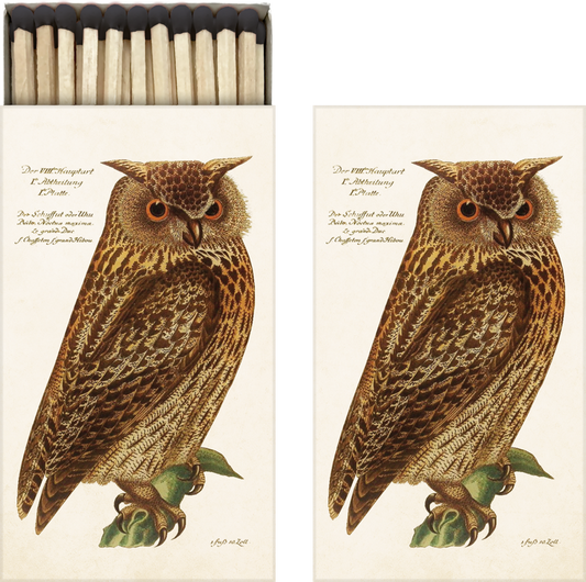 Luciferdoosje Uil - Forest Animals