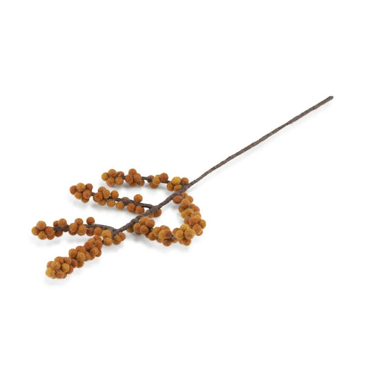 Tak Bes Ilex Oranje