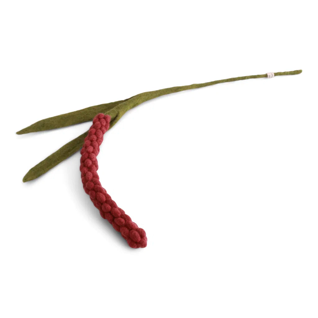 Amaranth - Dusty Red