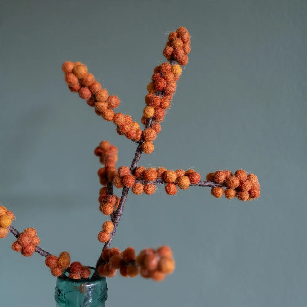 Tak Bes Ilex Oranje