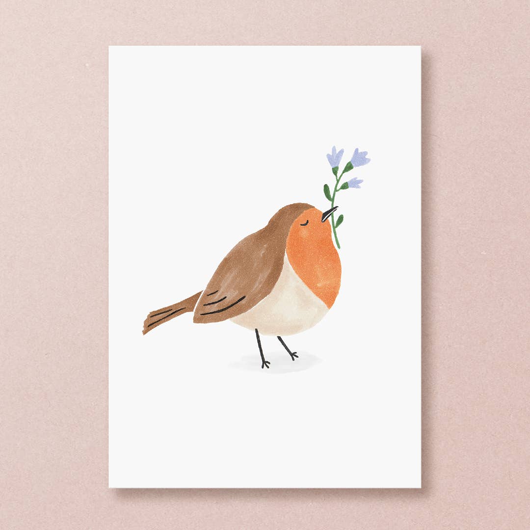 Robin Bird Postcard
