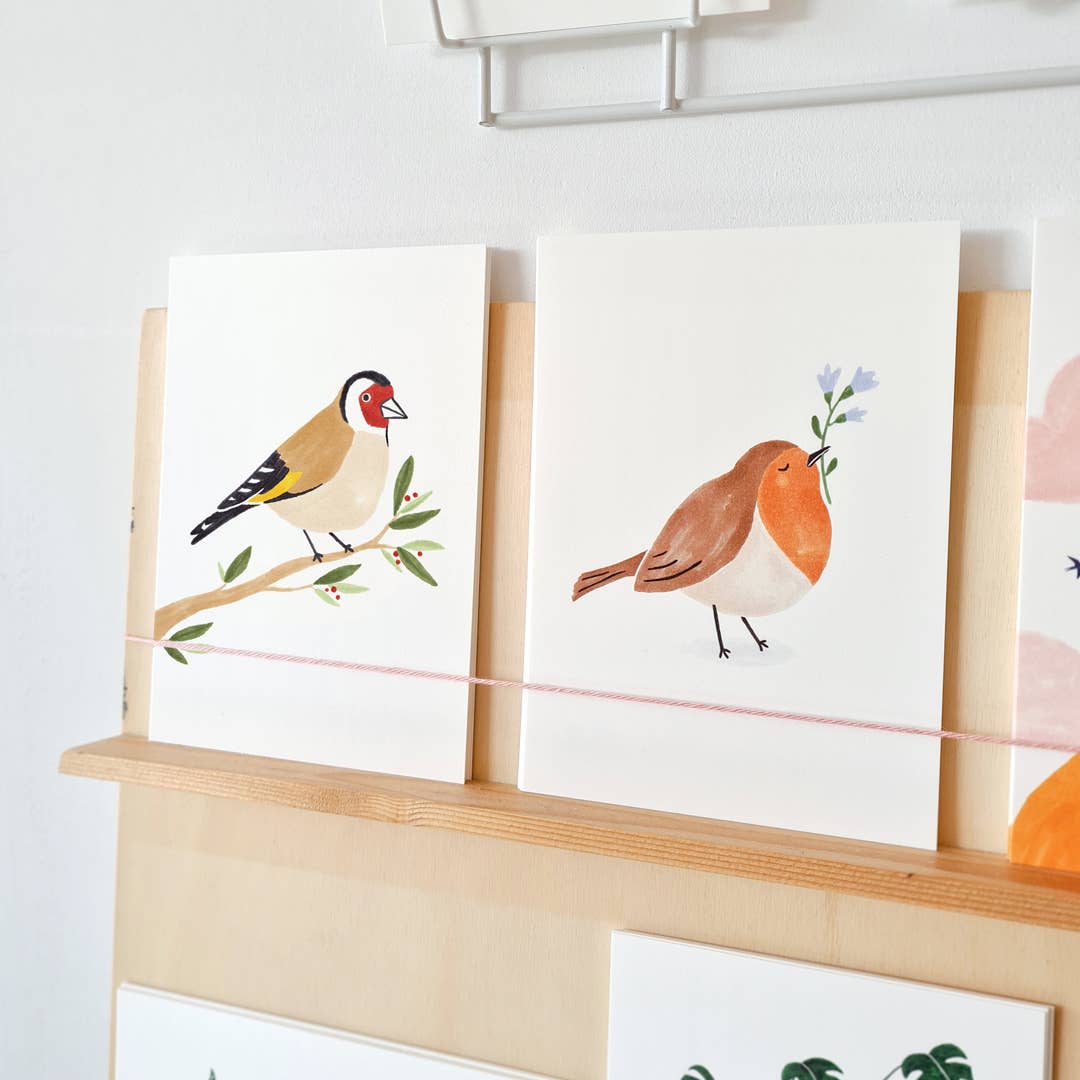Robin Bird Postcard