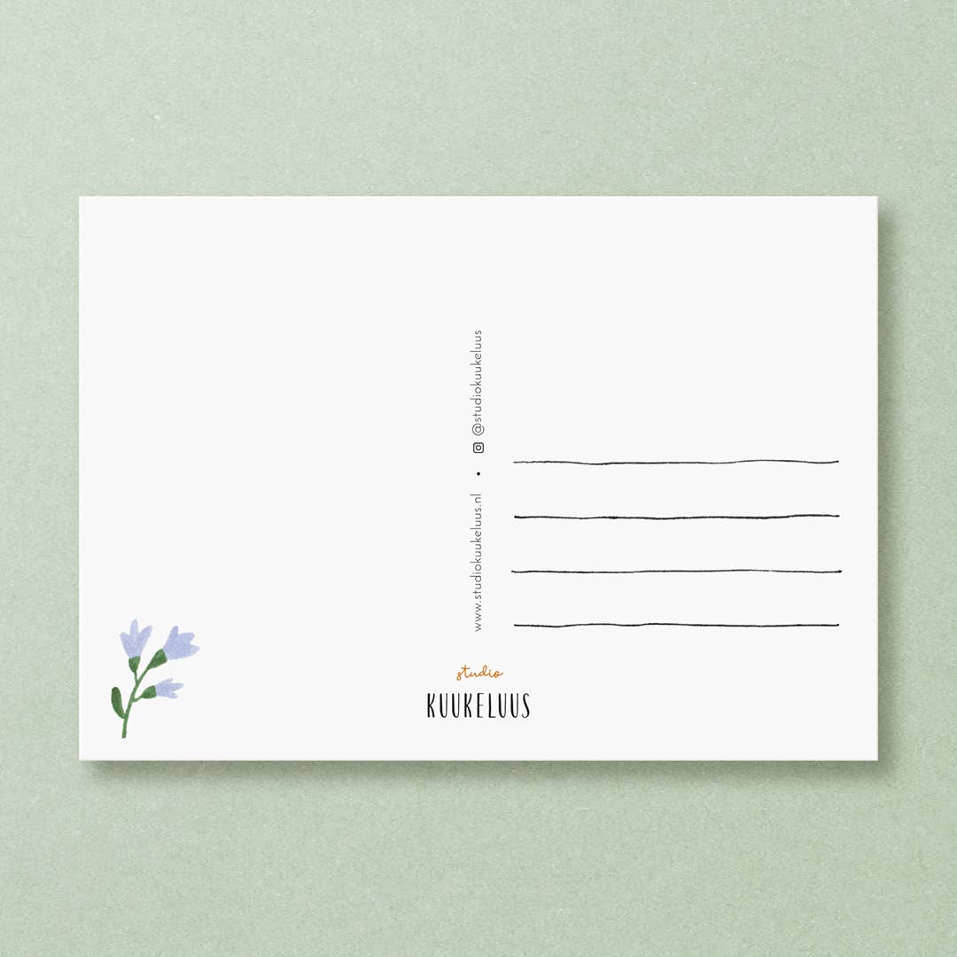 Robin Bird Postcard
