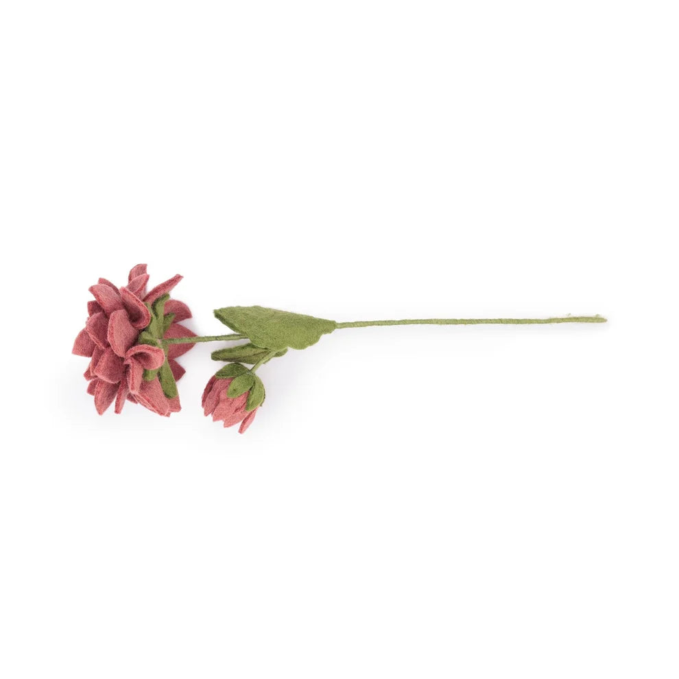 Dahlia XL Blush