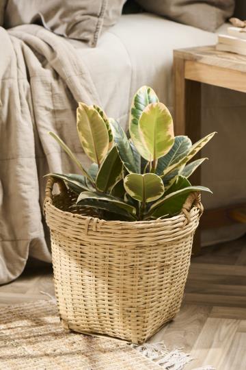 Vietnam basket bamboo w/handles