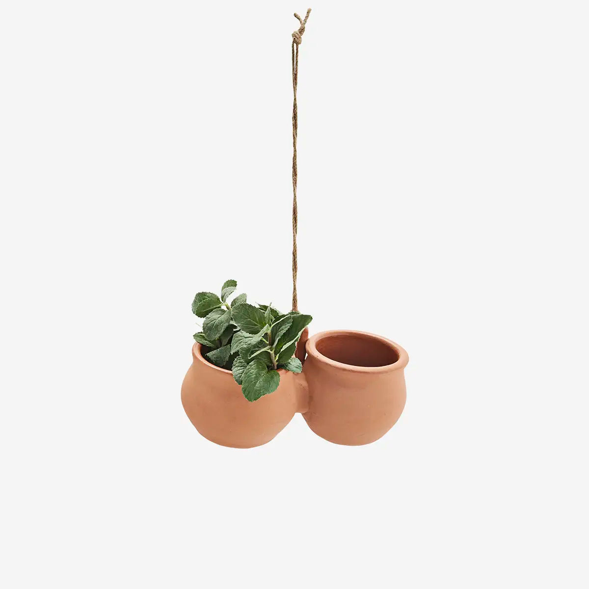 Hanging terracotta flower pots