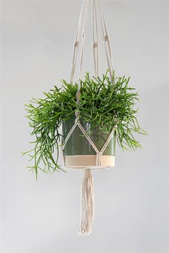 stitt  hanger natural