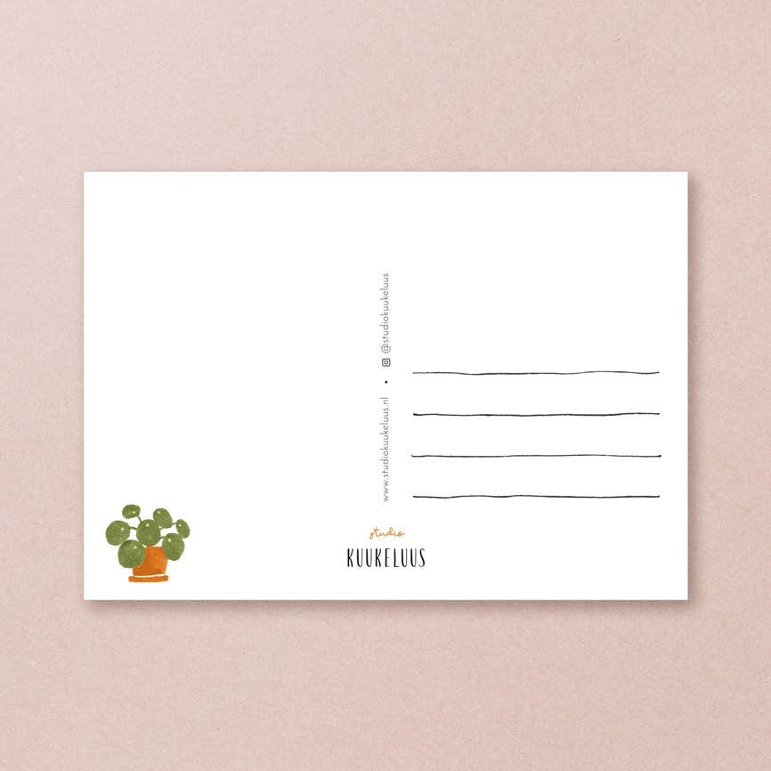 Postcard calico cat