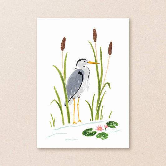 Postcard heron