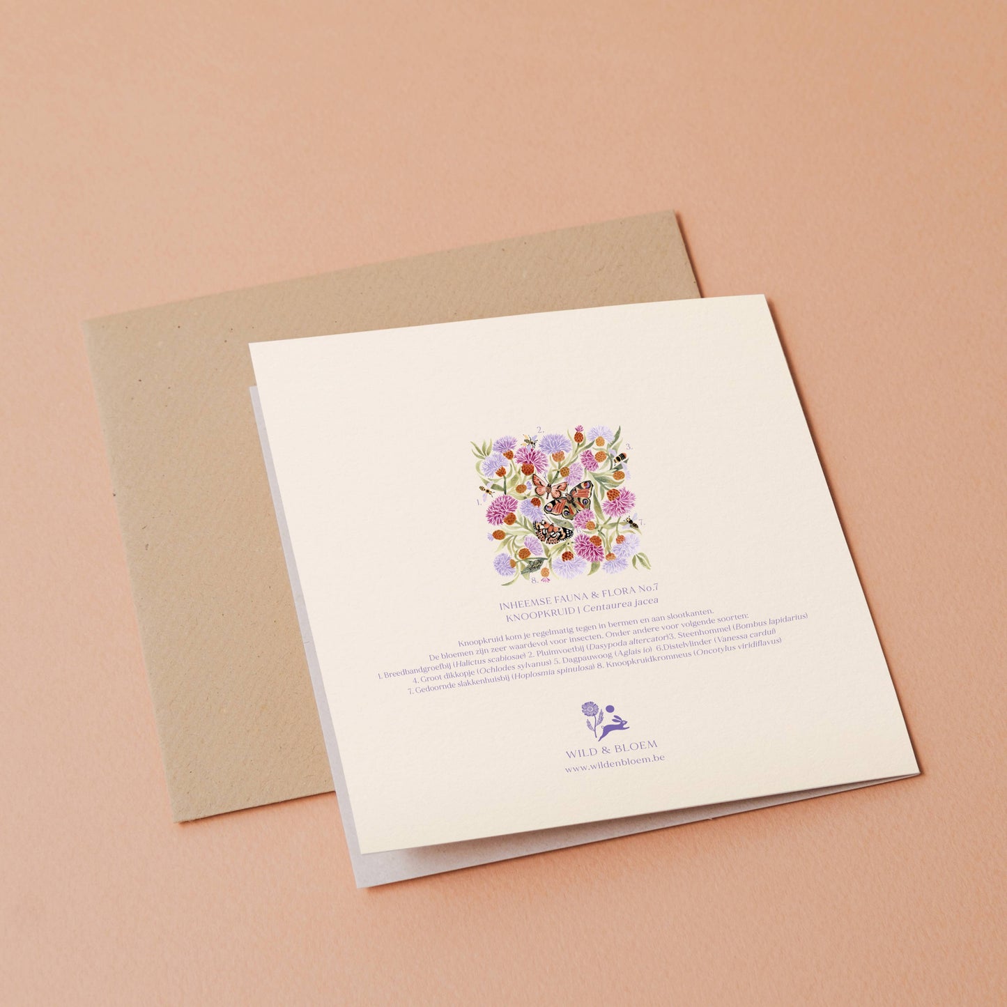 Greeting card - Knapweed