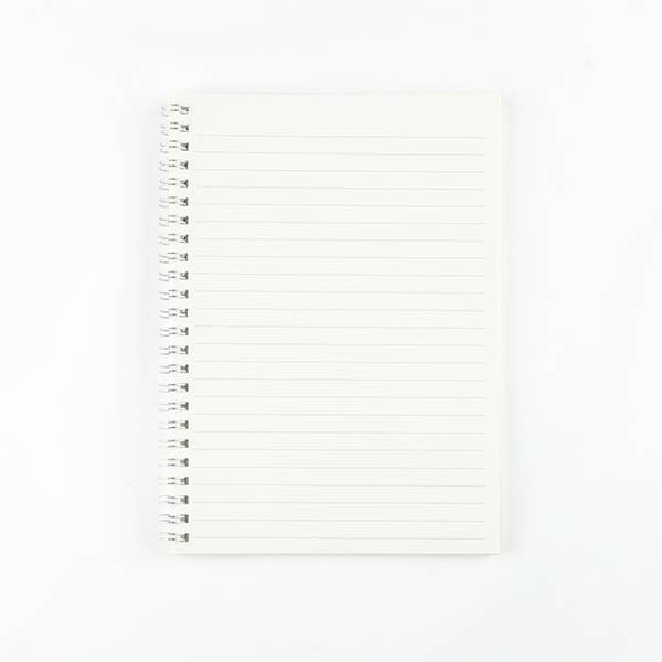 Notebook Apple