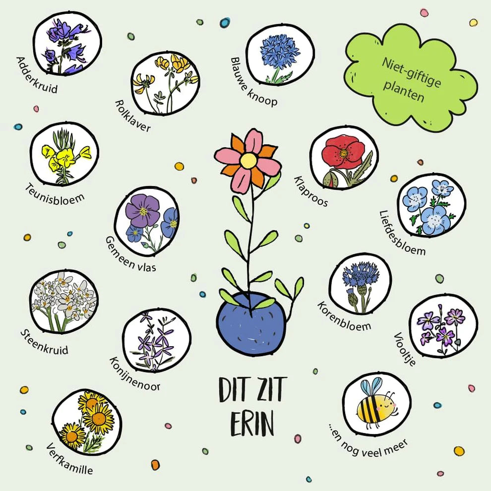 Kerstballen - kleurrijke bloemenknikkers