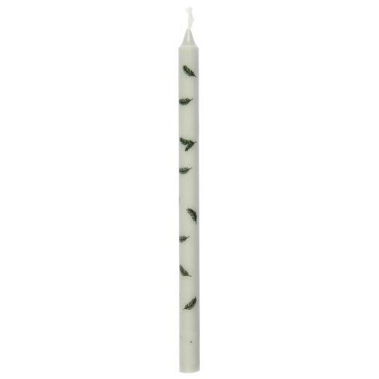 Taper candle w/spruce twigs stearin Ø:1.3 H:20