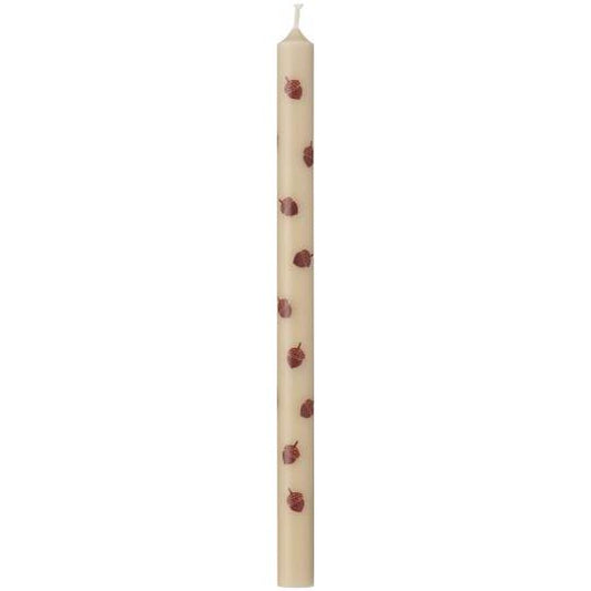 Taper candle acorns stearin Ø:1.3 H:20 Nordic Swan Eco-label