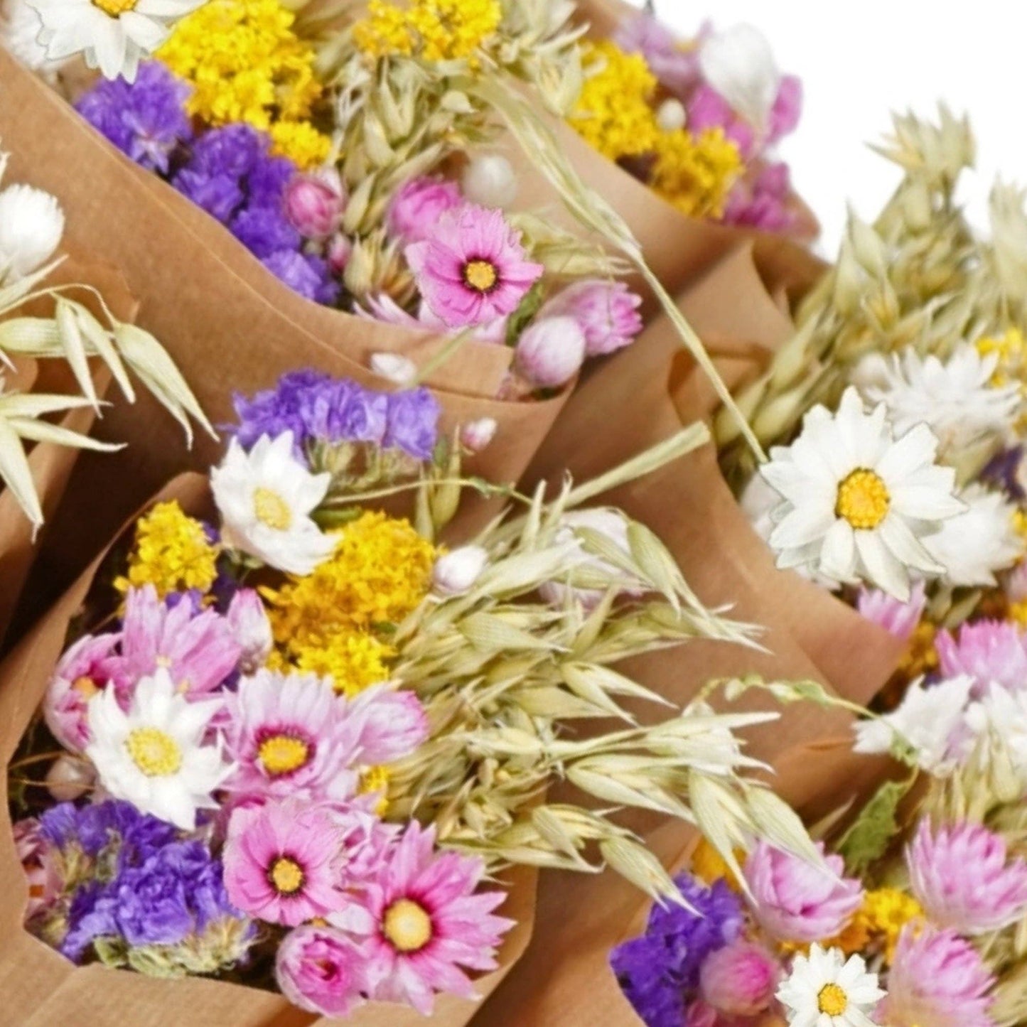 Gedroogde bloemen - Markt meer - Nederlands
