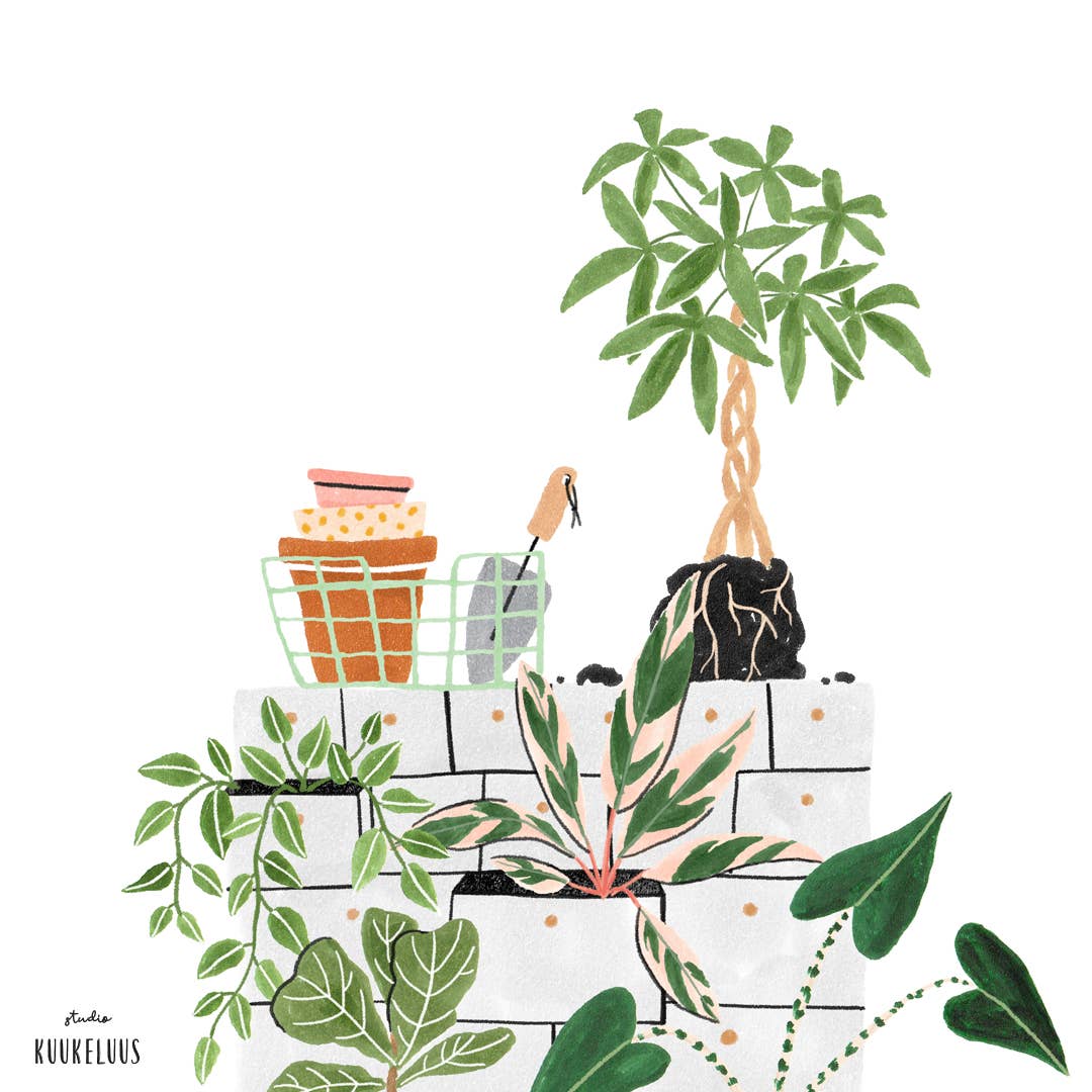 Repotting New Home Greeting Card: Dutch